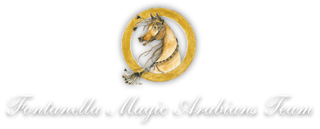 Fontanella Magic Arabians Team